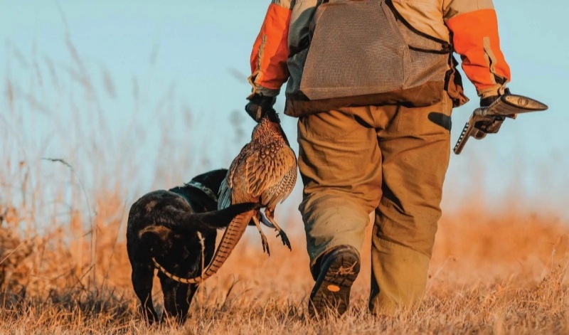 Outdoor Upland hunting jacket